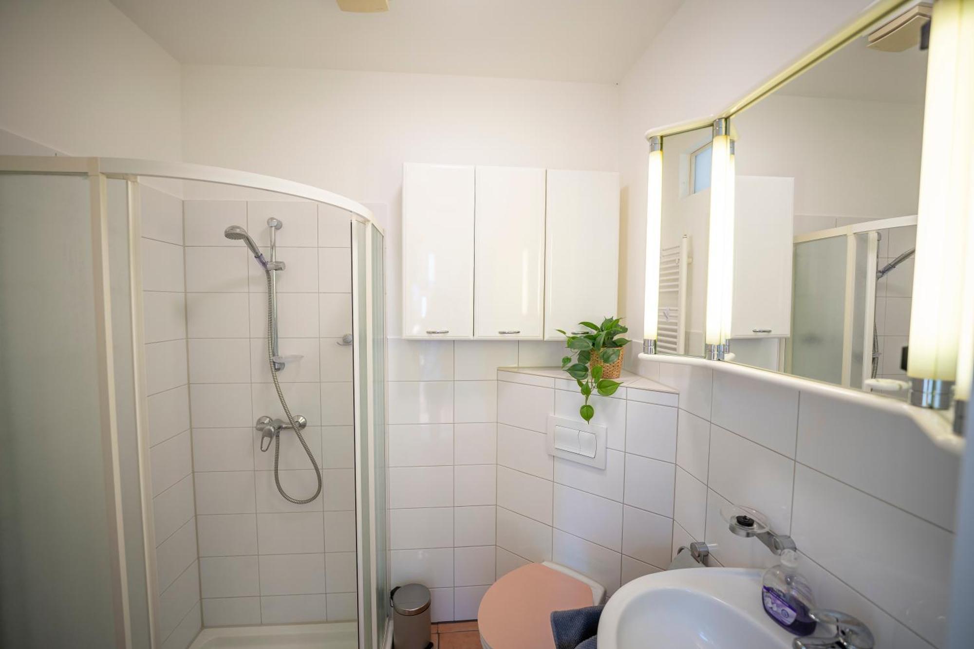 Haus Unterm Mammutbaum - Elberadweg Apartment